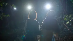 Задник к фильму "Без лица" #533133