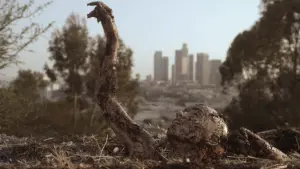 Задник к фильму "Глаза звезды" #307001