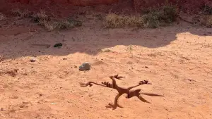 Задник к фильму "" #627554