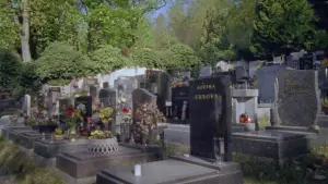 Задник к фильму "" #729975