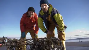 Задник к фильму "Грэбберсы" #302996