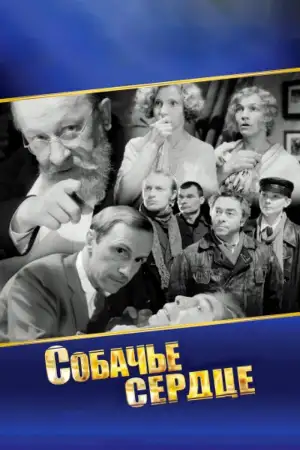 Постер к фильму "Собачье сердце" #948024