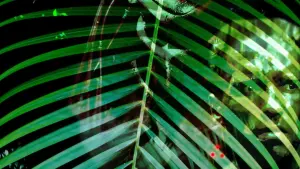 Задник к фильму "Хищник" #210311