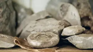 Задник к фильму "Аммонит" #901678