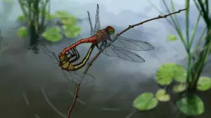 Задник к фильму "Ловцы забытых голосов" #232587