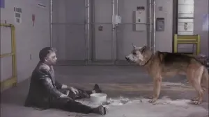 Задник к фильму "Спецагент Корки Романо" #432449