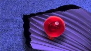 Задник к фильму "В поисках Немо" #554403