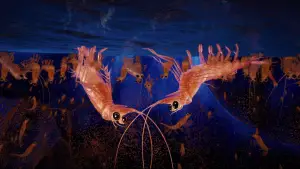 Задник к фильму "Делай ноги 2" #725486