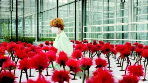 Задник к фильму "Малыш Джо" #385885