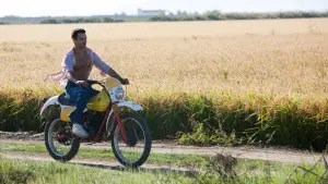 Задник к фильму "Миниатюрный остров" #244138