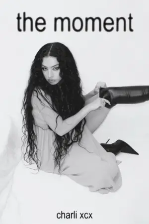 Постер к фильму "Момент" #516786