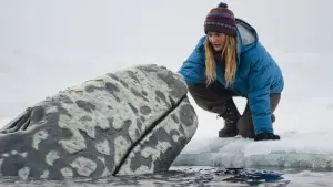 Задник к фильму "Все любят китов" #274987