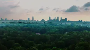 Задник к фильму "The Tree Economy" #775517