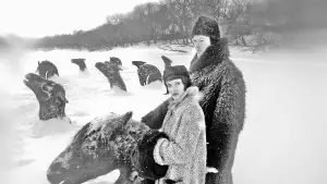 Задник к фильму "Мой Виннипег" #643547