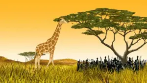 Задник к фильму "Кирику и дикие звери" #470307