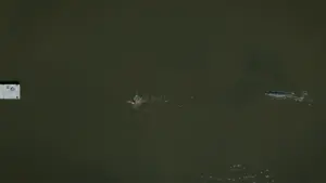 Задник к фильму "" #169789