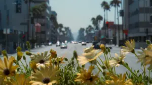 Задник к фильму "Адаптация" #671069