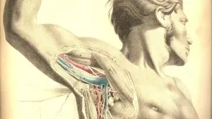 Задник к фильму "Анатомия 2" #482173