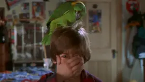 Задник к фильму "Один дома 3" #698477