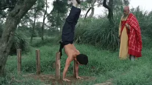 Задник к фильму "Последнее испытание Шаолиня" #400195