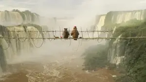 Задник к фильму "Приключения Паддингтона 2" #643910