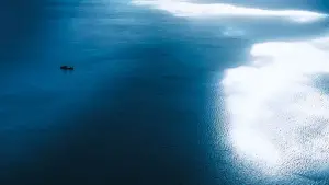 Задник к фильму "Кинг Конг" #619962