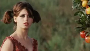 Задник к фильму "Маргаритки" #220783