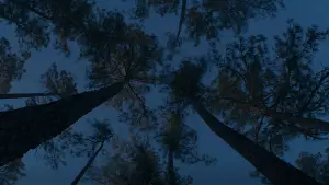 Задник к фильму "Всё заканчивается" #604365