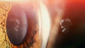 Задник к фильму "Нимани" #359668