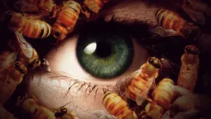 Задник к фильму "Кэндимэн 3: День мертвых (видео)" #345635