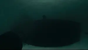 Задник к фильму "Чёрный чемодан – двойная игра" #570236