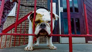 Задник к фильму "" #610278