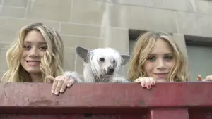 Задник к фильму "Мгновения Нью-Йорка" #297591