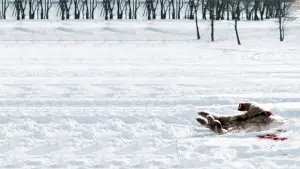 Задник к фильму "Поворот не туда 4" #313681