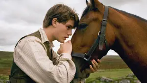 Задник к фильму "Боевой конь" #394080