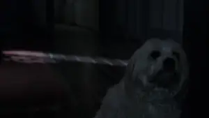 Задник к фильму "Бабадук" #660141