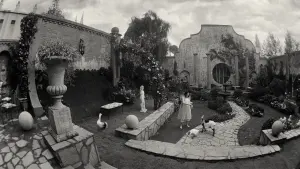 Задник к фильму "Бедные-несчастные" #160963