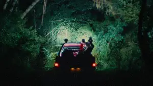 Задник к фильму "Пожиратель птиц" #664039