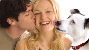 Задник к фильму "Собачья любовь" #495557