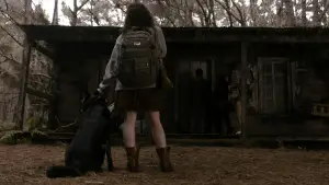 Задник к фильму "Зловещие мертвецы: Черная книга" #642942