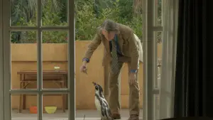 Задник к фильму "Школа мистера Пингвина" #583796