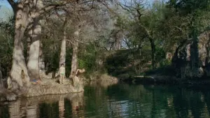 Задник к фильму "Зубы" #357649