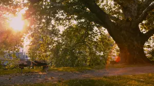 Задник к фильму "Жизнь Адель" #240774