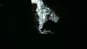 Задник к фильму "Че: Часть вторая" #745120