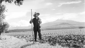 Задник к фильму "" #459705