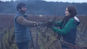 Задник к фильму "Возвращение в Бургундию" #255073