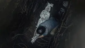 Задник к фильму "" #630886