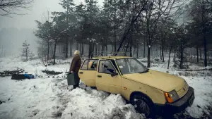 Задник к фильму "Війна очима тварин" #692689