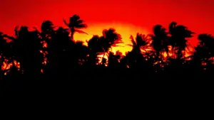 Задник к фильму "Парк Юрского периода" #598001