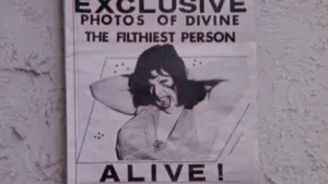 Задник к фильму "Розовые фламинго" #612031